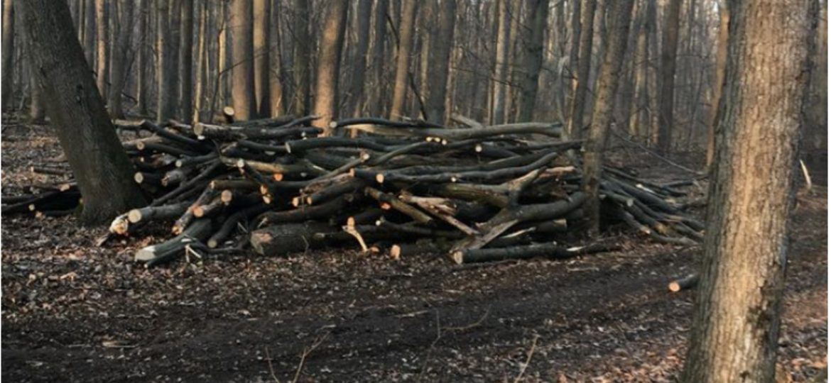 Captură de ecran din 2022.09.12 la 11.10.22