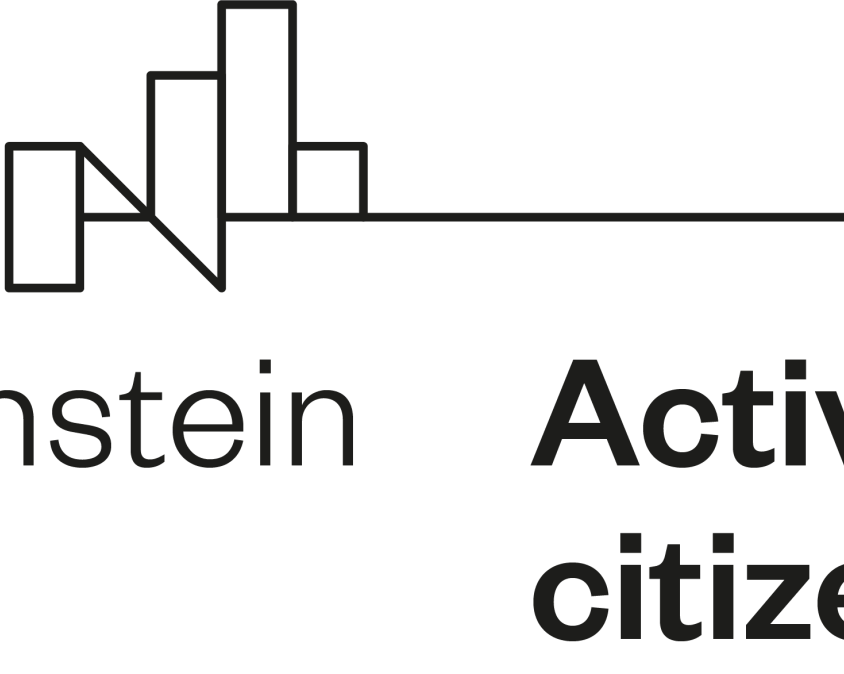 Copie a fișierului Active-citizens-fund@4x (1)